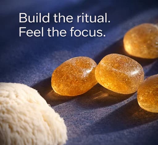 Organic Lion's Mane Gummies primary product image