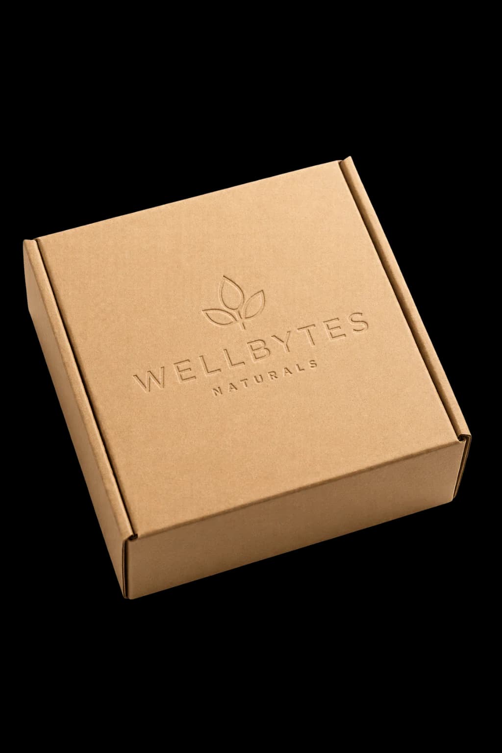 Kraft WellBytes mailer — how your bundle ships